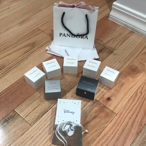 Pandora Disney Exclusive Empty Charm Box + Bag